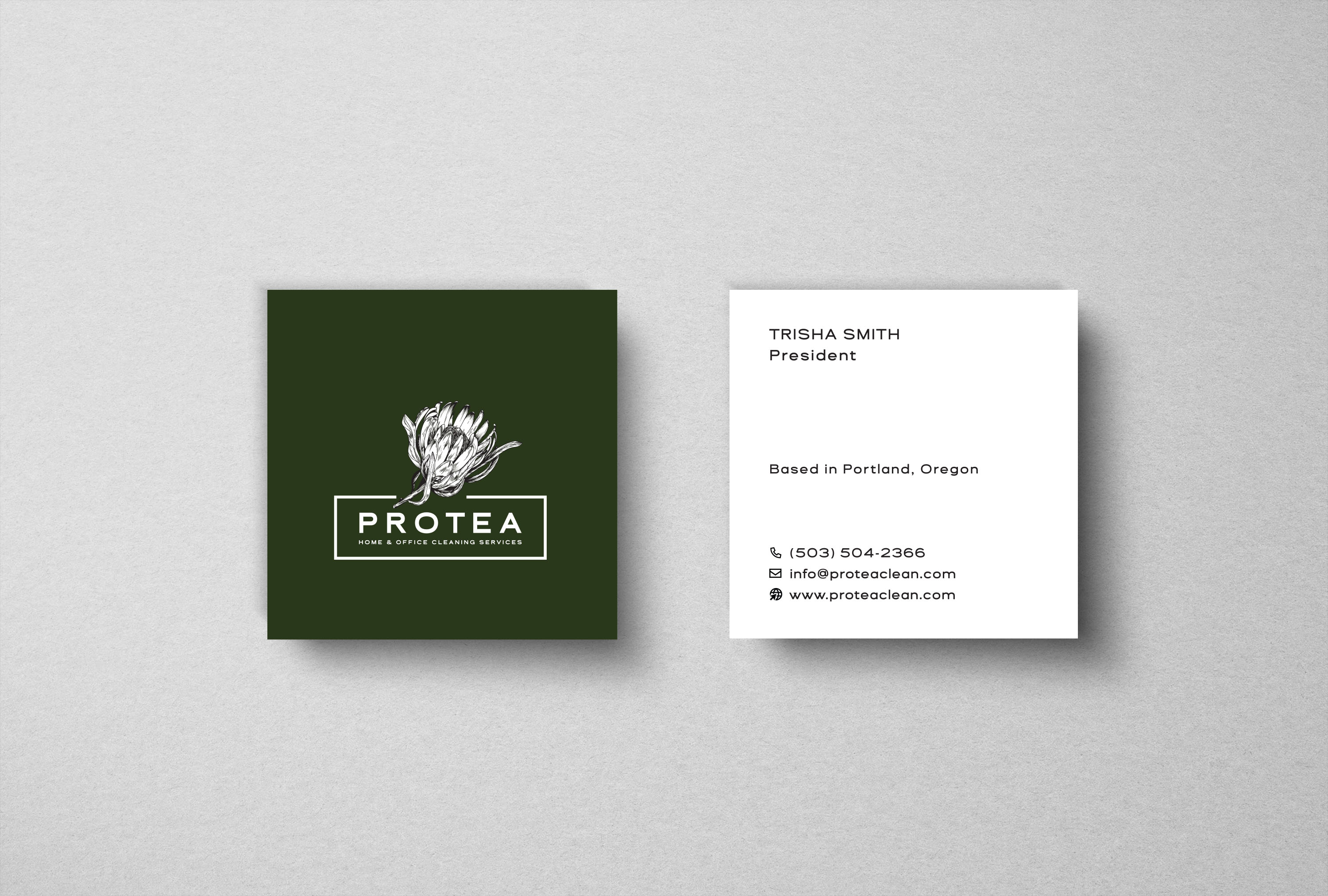 branding page for Protea Cleaning Services