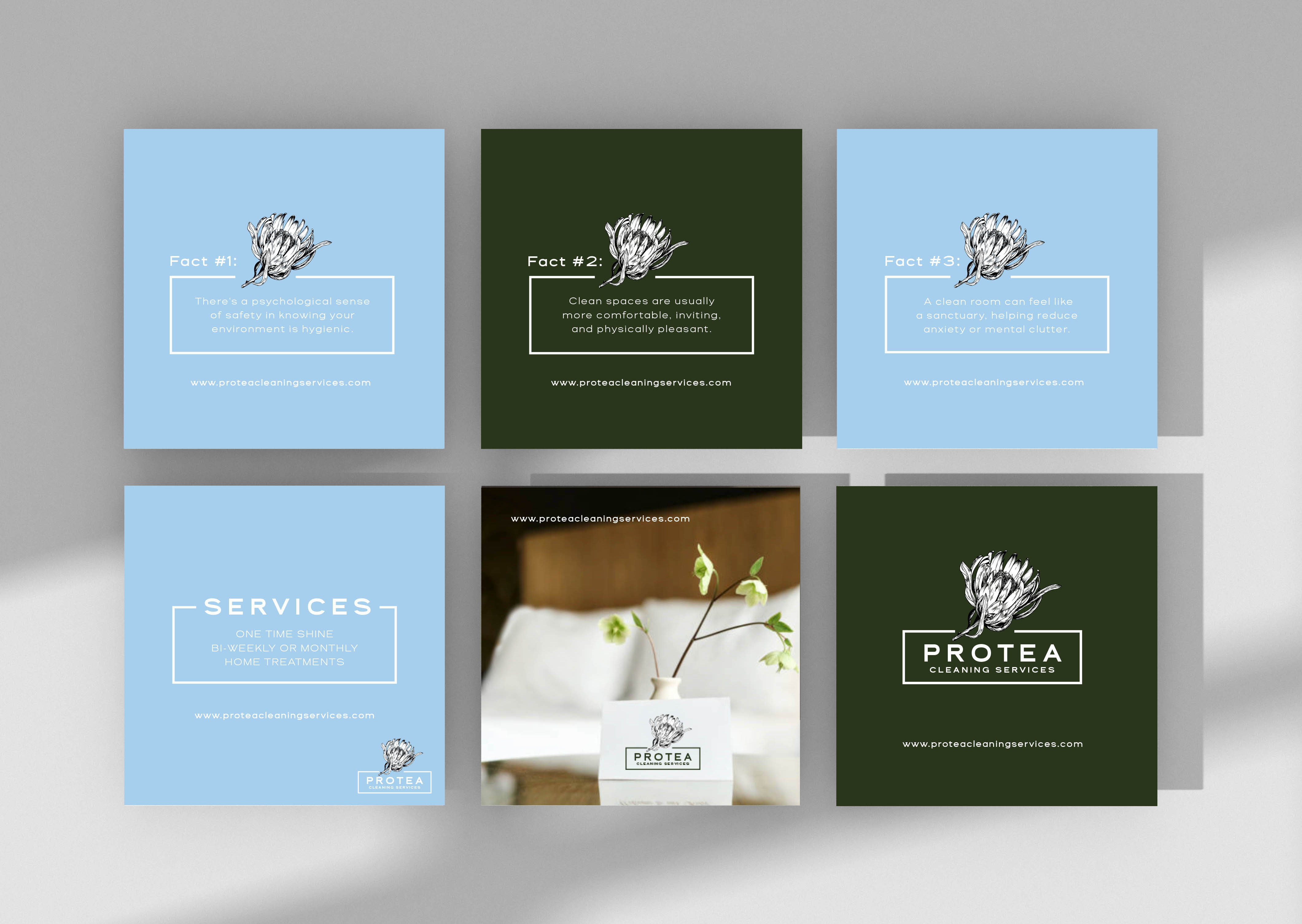 branding page for Protea Cleaning Services